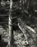 Quelle: Hans-Gerhard Wind